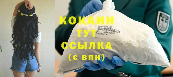 шишки Карталы