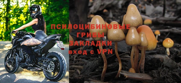 шишки Карталы