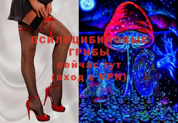 шишки Карталы