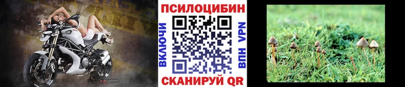 Галлюциногенные грибы Psilocybe  Купить  Лахденпохья 