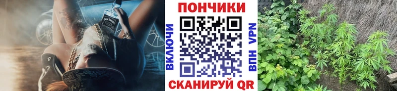 Бошки Шишки Amnesia  Купить где  Лахденпохья 
